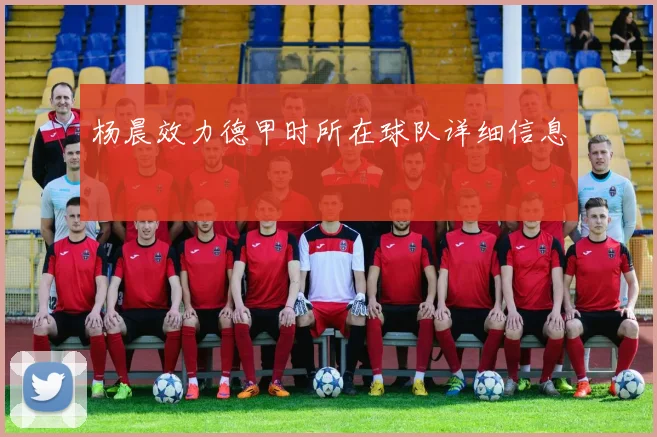 杨晨效力德甲时所在球队详细信息